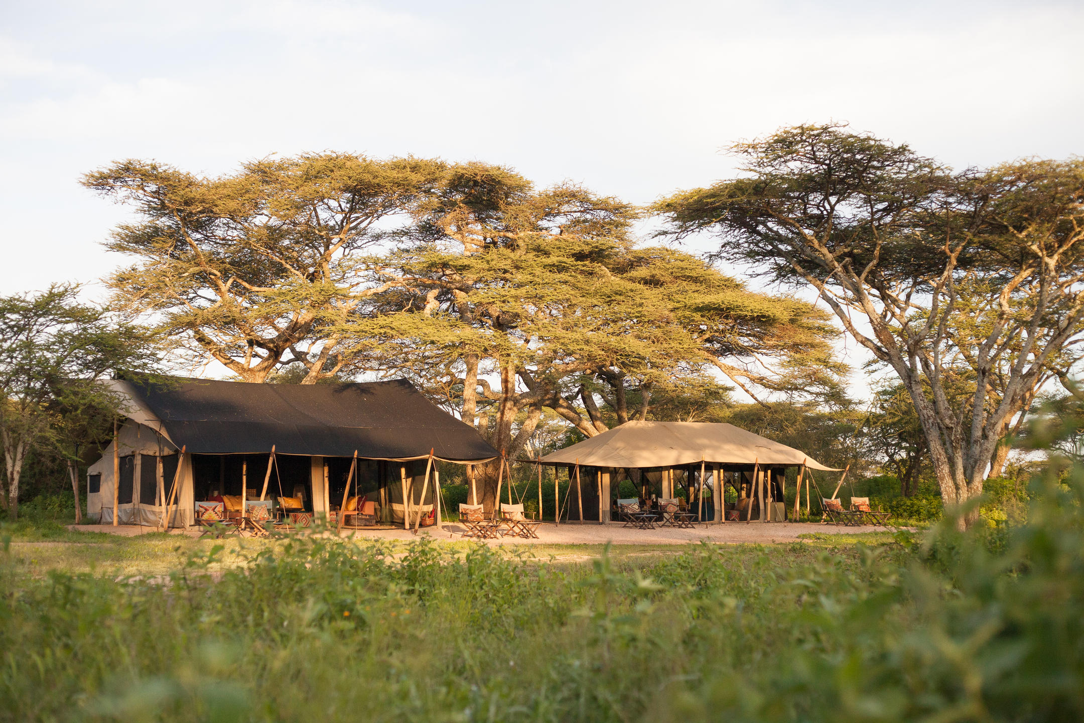 Nyasi Tented Camp